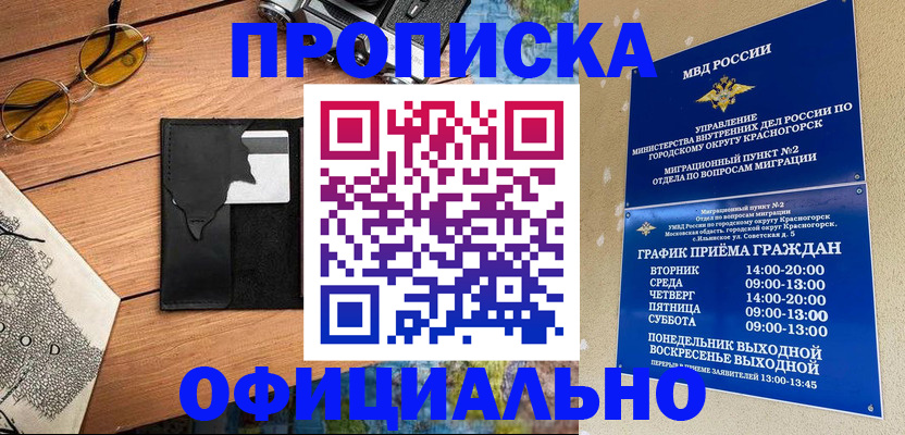 прописка поиск в Щёлкино